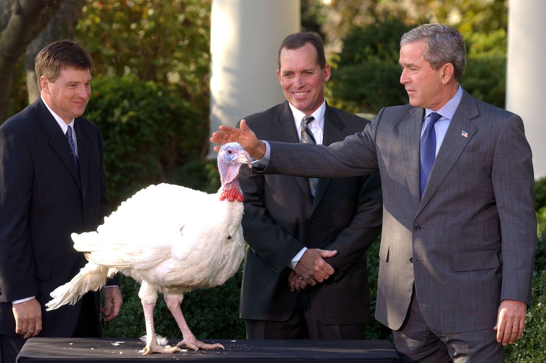 Bush turkey pardon, 2003